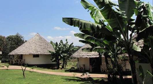 Kilemakyaro Mountain Lodge Moshi Kültér fotó